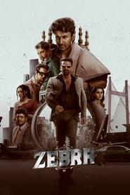 Zebra (2024) Movie | TamilRockers